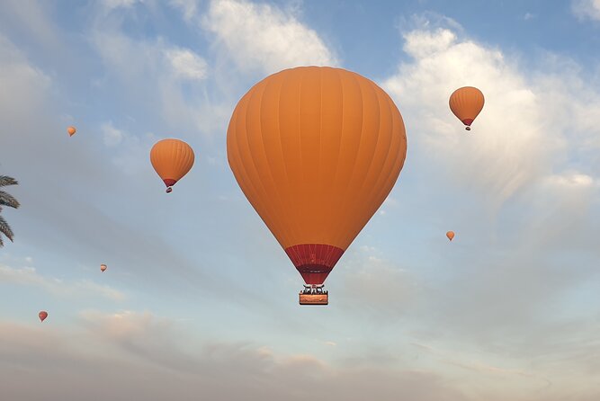 Top vip one hour private flight royal breakfast on board - The palm grove camel ride