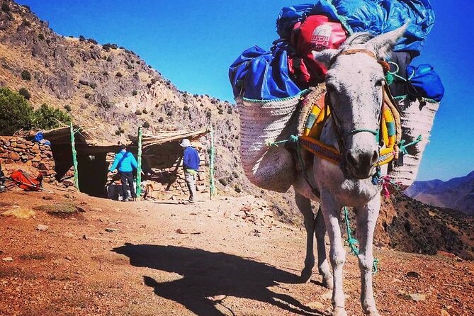 Toubkal Ascension 2 Days - What the $337.31 price really covers