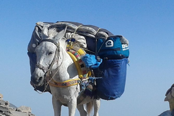 toubkal ascent from Marrakech 2 Days - Day one: Berber villages, Sidi Chamhrouch, and the refuge