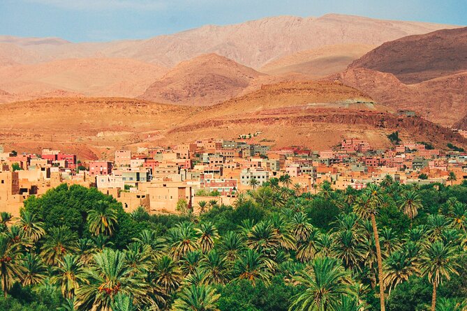 Tour from Ouarzazate to Vallee Du Draa and Dunes Of Tinfou - From Ouarzazate to the Anti-Atlas
