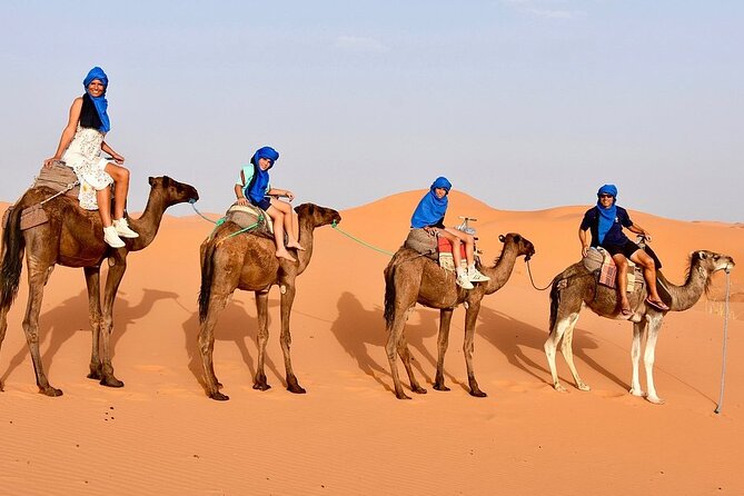 Tour from Ouarzazate to Vallee Du Draa and Dunes Of Tinfou - Following the Draa Valley back to Ouarzazate