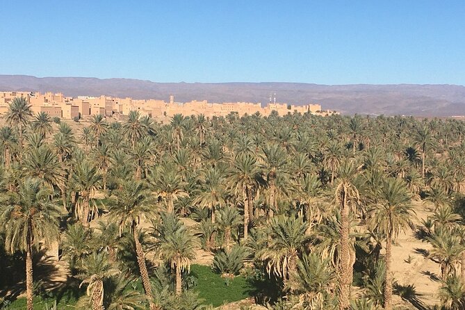 Tour from Ouarzazate to Vallee Du Draa and Dunes Of Tinfou - What the $186.10 price gets you