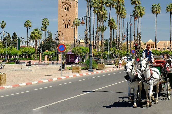 tour of marrakech-medina, souks, secret gardens,Madrassa& stories - Entering the Medina and finding the souks