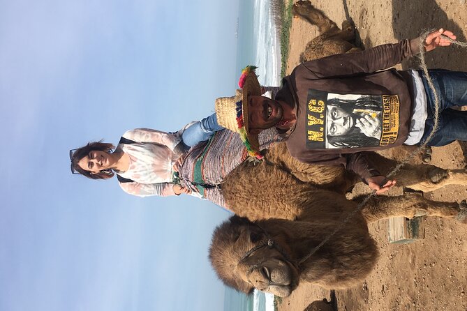 Tour of Tangier 1-2 people with camel ride - Shopping and café time at the end