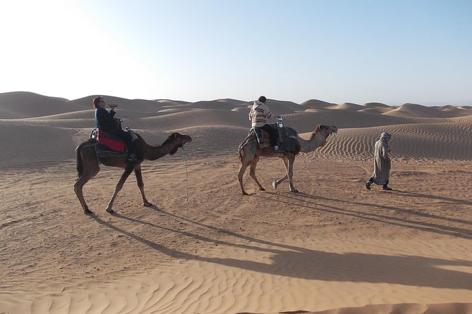 two days in the Zagora desert, Drâa valley from Marrakech - The Drâa Valley and its palm-lined route