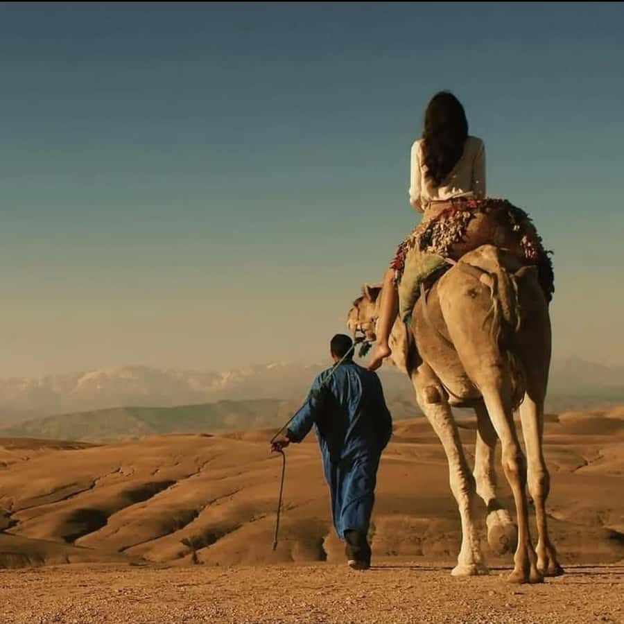 Unforgettable Desert Night: Dinner, Camel Ride & Quad Bike - Is $148 a fair price?
