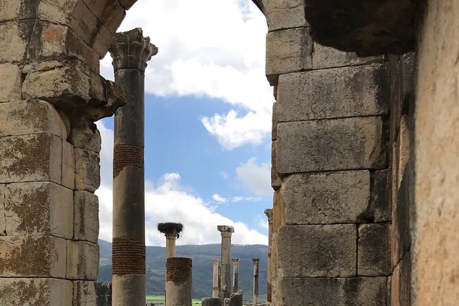 Volubilis, Moulay Idriss and Meknes Day Trip from Fez - Four hours in Meknes