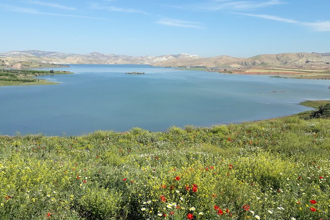 Volubilis, Moulay Idriss and Meknes Day Trip from Fez - What the $23.26 price really buys