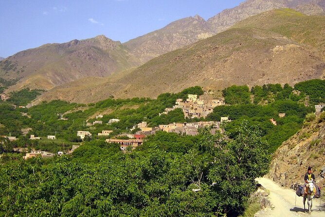 Waterfalls, Three valleys, Atlas Montains, Camels & Desert - Walking through the Atlas Mountains to Imlil waterfalls