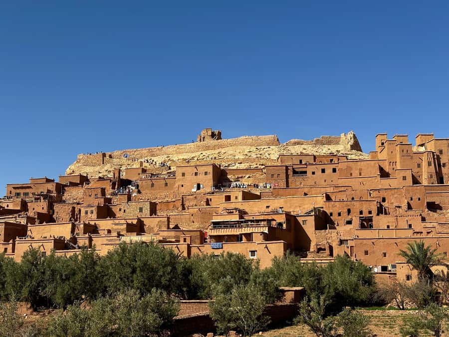 Zagora Desert: 2-Day 1-Night Desert Expedition to Remember - Who should choose this Zagora trip?