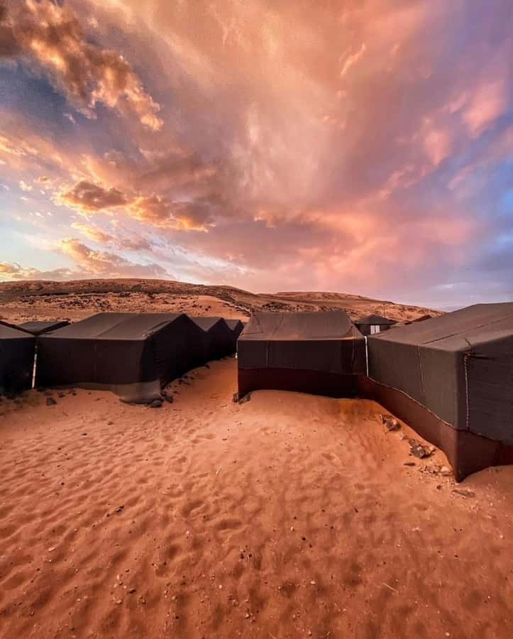Zagora Desert: 2-Day 1-Night Desert Expedition to Remember - The big picture: a desert night without the long detour