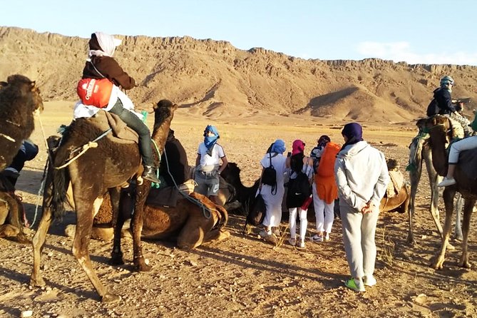 Zagora Desert Highlights: Guided 2-Day Tour from Marrakech - From Marrakech to the High Atlas by 7:00 am